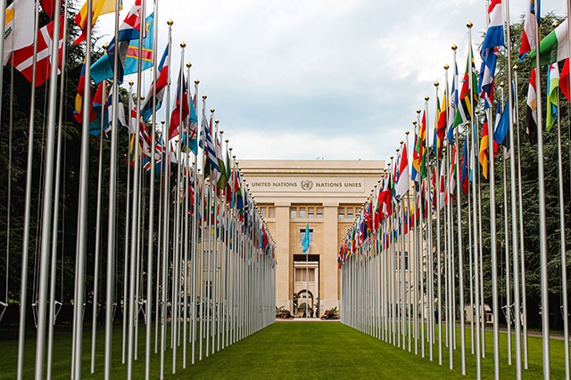 MSEI & United Nations Environment Programme partnership
