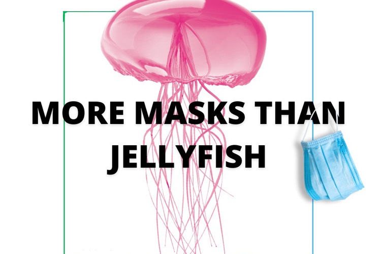 More Masks Than Jellyfish: ESCP Students discuss the  impact of discarded PPE on marine life