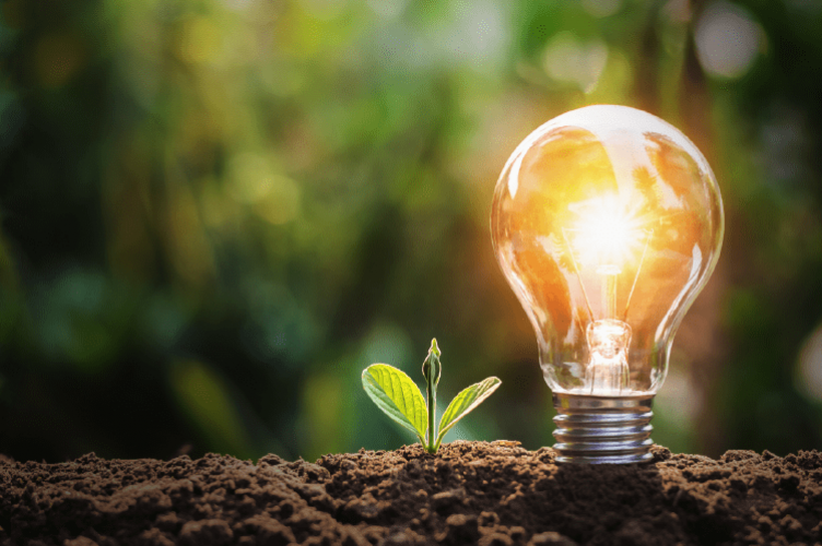 Customise your MiM track with specialisations: Impact Entrepreneurship, Option-E