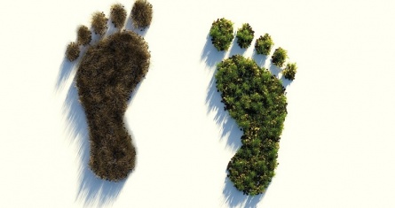 Ecological footprint